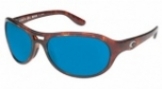 shiny tortoise/blue