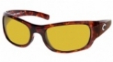  shiny tortoise/blue