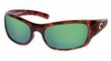  shiny tortoise/green