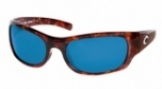  shiny tortoise/blue