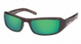  shiny tortoise/green