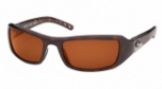  shiny tortoise/copper