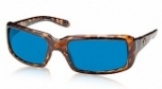  tortoise/blue