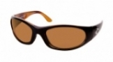  black tortoise/amber