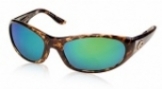  shiny tortoise/green