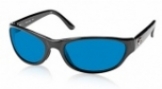  shiny black/blue