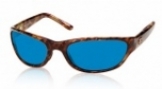  shiny tortoise/blue