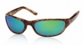  shiny tortoise/green