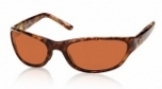  shiny tortoise/copper