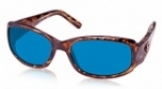  shiny tortoise/blue