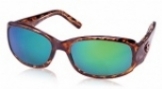  shiny tortoise/green