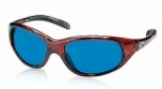  shiny tortoise/blue