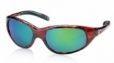  shiny tortoise/green