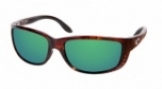  shiny tortoise/green