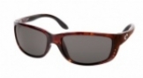  shiny tortoise/gray