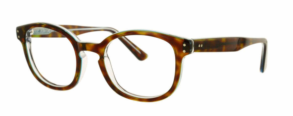  clear lens/tortoise