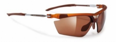  frozen brown frame/laser brown lenses