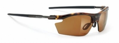  demi turtle frame/action brown lenses