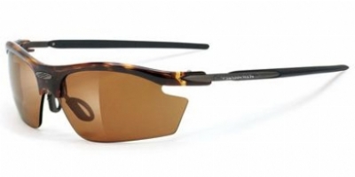  demi turtle/polarized photo brown