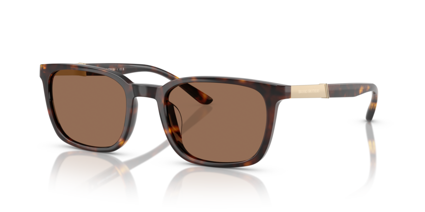 dark brown/dark tort