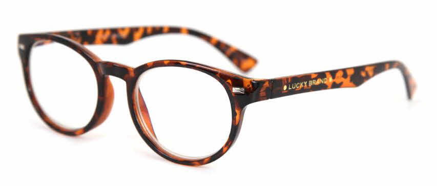  clear lens/tortoise