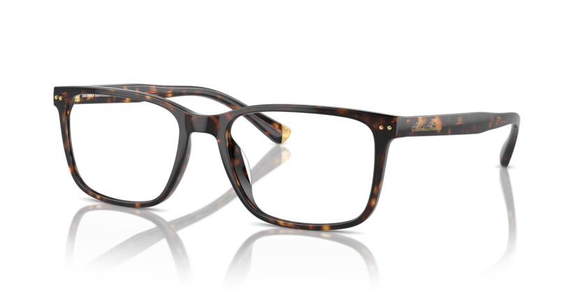  demo lens/dark tortoise