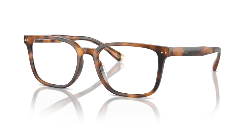  demo lens/warm tortoise