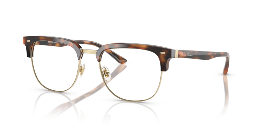  demo lens/warm tortoise