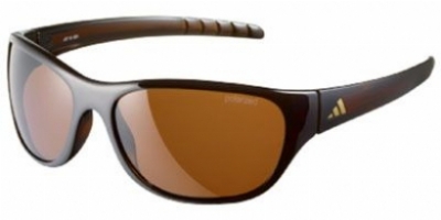  brown/brown polarized