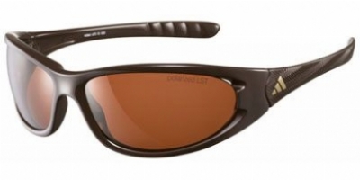  as shown/shiny dark chocolate lst polarized