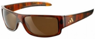  as shown/havana brown polarized