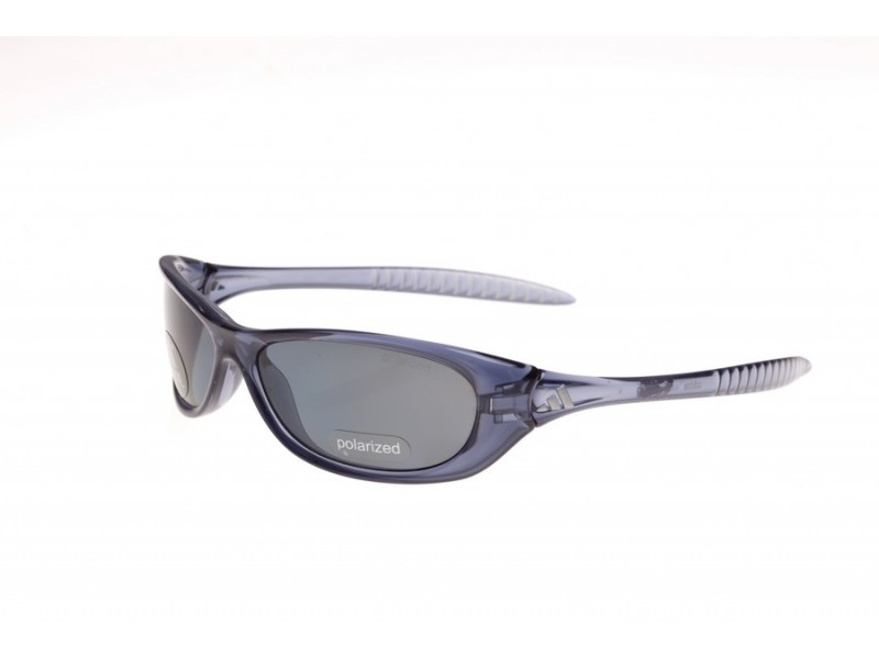  gray polarized/transparent gray