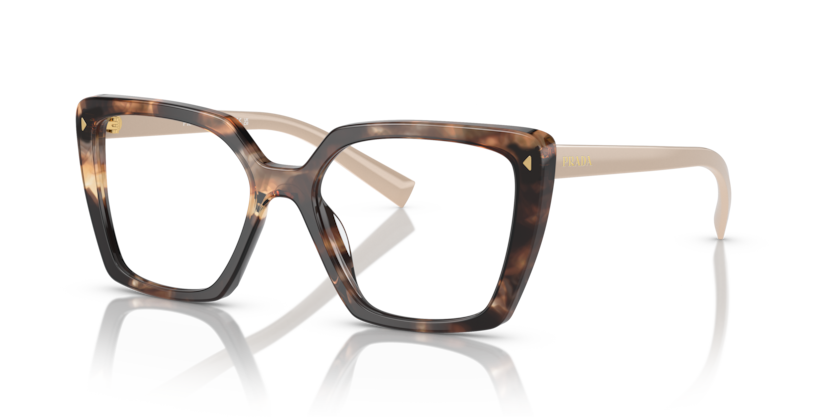  clear/caramel tortoise
