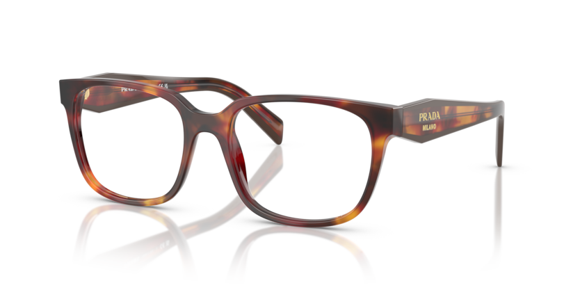  clear/poppy tortoise