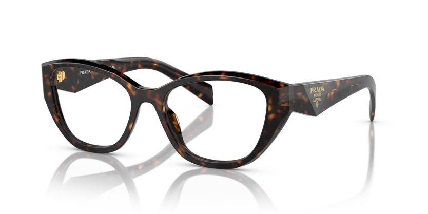  clear/tortoise