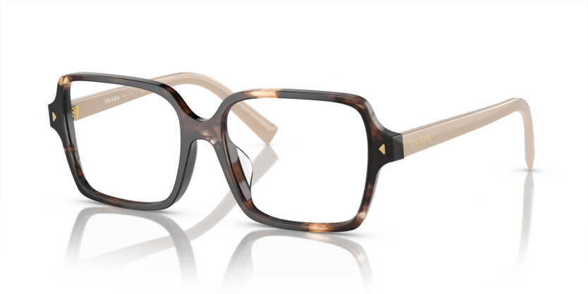  clear/havana caramel