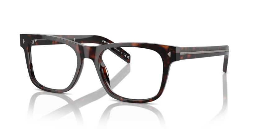  clear/radica tortoise