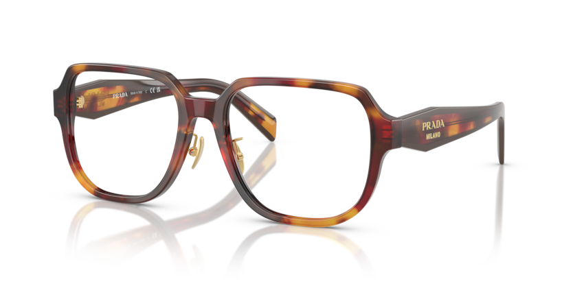  clear/poppy tortoisebordeaux