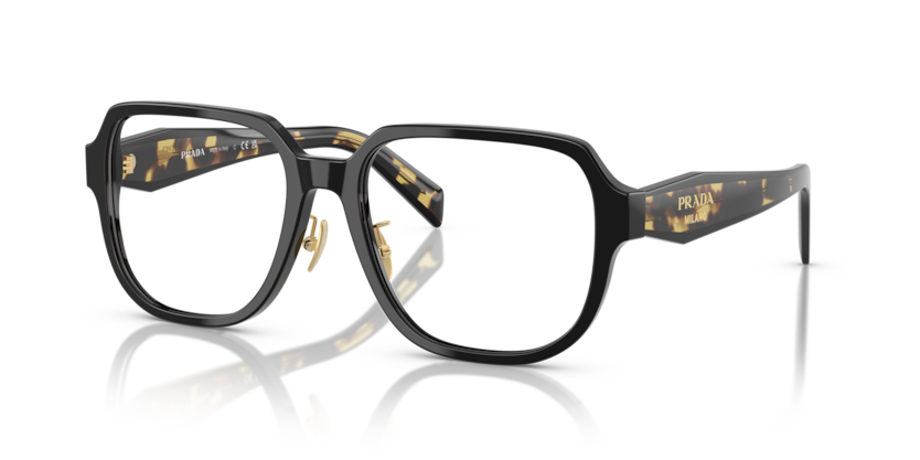  clear/blackmedium tortoise