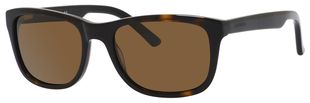  brown polarized/dark havana