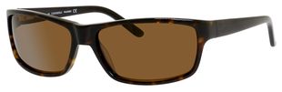  brown polarized/dark havana