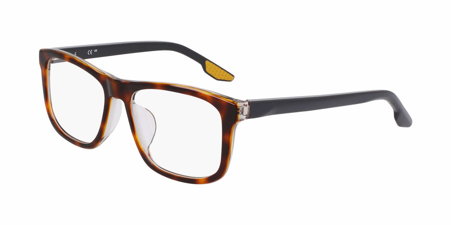  clear lens/tortoise grey