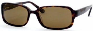  brown polarized/dark tortoise