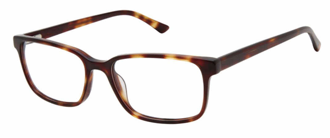  clear lens/tortoise