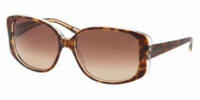  tortoiseiose crystal/brown gradient