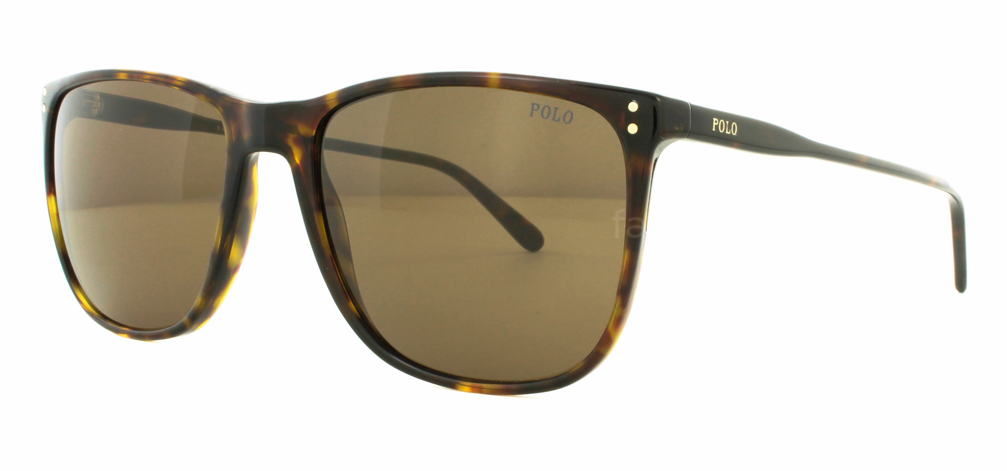 RALPH LAUREN 4102 500373