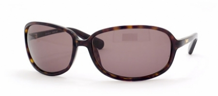  toroise/brown