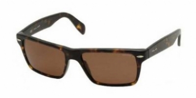  as shown/tortoise brown lens