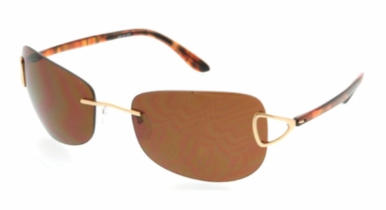  brown polarized/light gold havana