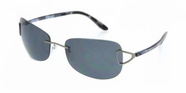  grey polarized/grey